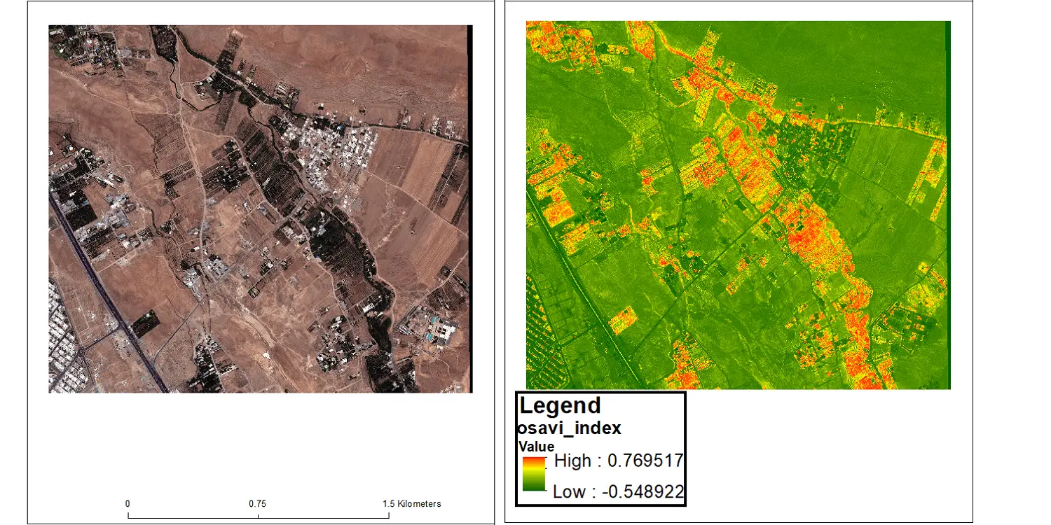 شوری خاک - تصویر 1