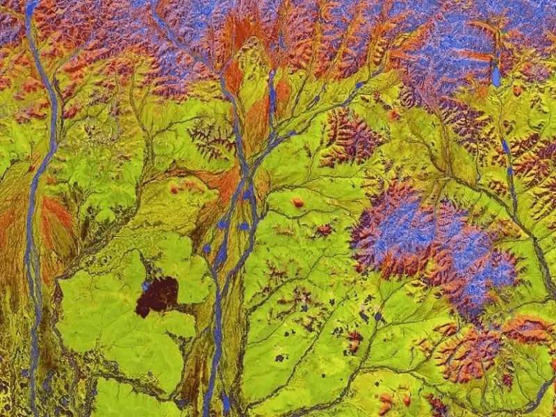 همکاری در پروژه‌های دانشگاهی